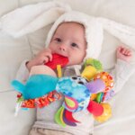 Clip Clop per Passeggino - Playgro