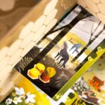 Harmonies - Asmodee