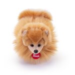 Pomerania Biscuit "S" -Trudi