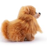 Pomerania Biscuit "S" -Trudi