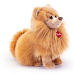 Pomerania Biscuit "S" -Trudi