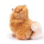 Pomerania Biscuit "S" -Trudi