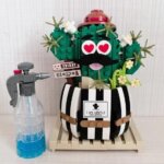 Mini Mattoncini Pianta Grassa - ITN La Giraffa