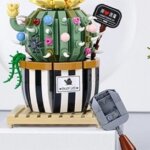 Mini Mattoncini Pianta Grassa - ITN La Giraffa