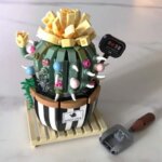 Mini Mattoncini Pianta Grassa - ITN La Giraffa