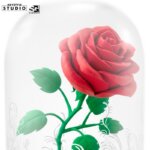 La Rosa Incantata -Disney