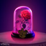 La Rosa Incantata -Disney