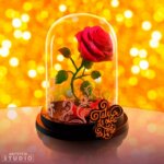 La Rosa Incantata -Disney