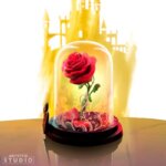 La Rosa Incantata -Disney