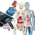 Anatomia Super - Clementoni