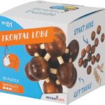 Brain Puzzle Frontal Lobe - Recent Toys