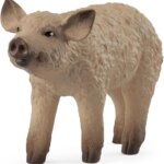 Maialino Mangalica - Schleich