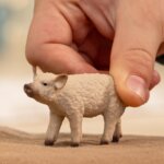 Maialino Mangalica - Schleich