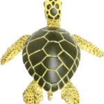 Cucciolo di Tartaruga Marina - Safari