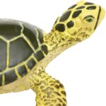 Cucciolo di Tartaruga Marina - Safari