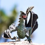 Drago Sinister - Safari