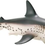 Squalo Salmone - Safari