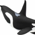 Orca - Safari