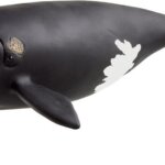 Balena Franca Nordatlantica - Schleich