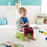Vasino Sgabellino del Re - Fisher Price