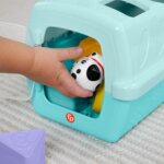 Trasportino Cercaforme - Fisher Price