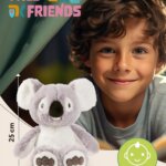 Koala Barry 25 cm - Nici