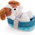 Cocker Spaniel Dormiente - Nici
