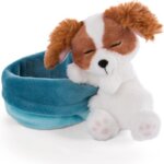 Cocker Spaniel Dormiente - Nici