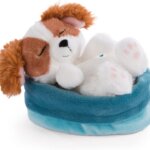 Cocker Spaniel Dormiente - Nici