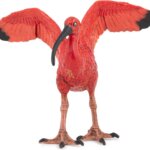Ibis Rosso - Papo
