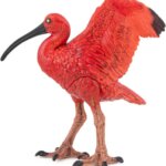 Ibis Rosso - Papo