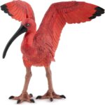 Ibis Rosso - Papo