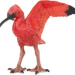 Ibis Rosso - Papo