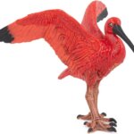 Ibis Rosso - Papo