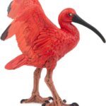 Ibis Rosso - Papo