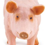 Scrofa - Papo