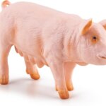 Scrofa - Papo