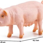 Scrofa - Papo