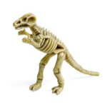 Scheletro di Velociraptor - ITN La Giraffa