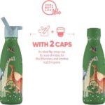 Borraccia Jurassic Era 350ml - Cool Bottles