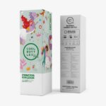 Borraccia Princess Kingdom 350ml - Cool Bottles