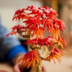 10348 Bonsai di Acero Rosso Giapponese - Lego