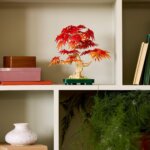 10348 Bonsai di Acero Rosso Giapponese - Lego