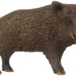 Cinghiale - Schleich