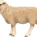 Pecora - Schleich