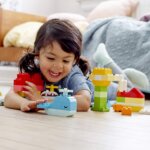 10909 Scatola Cuore- Lego
