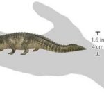 Alligatore - Schleich