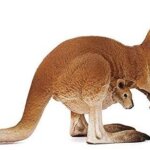 Canguro - Schleich