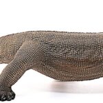 Drago di Komodo - Schleich