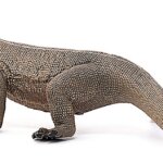 Drago di Komodo - Schleich